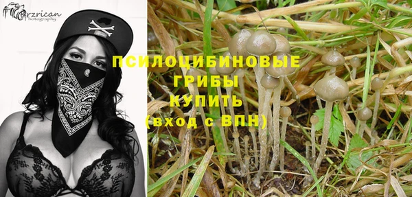 MDMA Premium VHQ Медвежьегорск