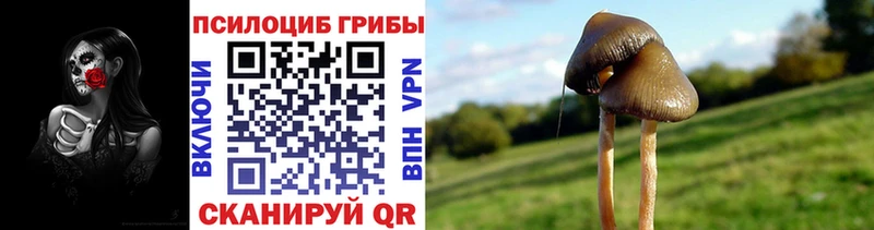 Псилоцибиновые грибы MAGIC MUSHROOMS  Оленегорск 